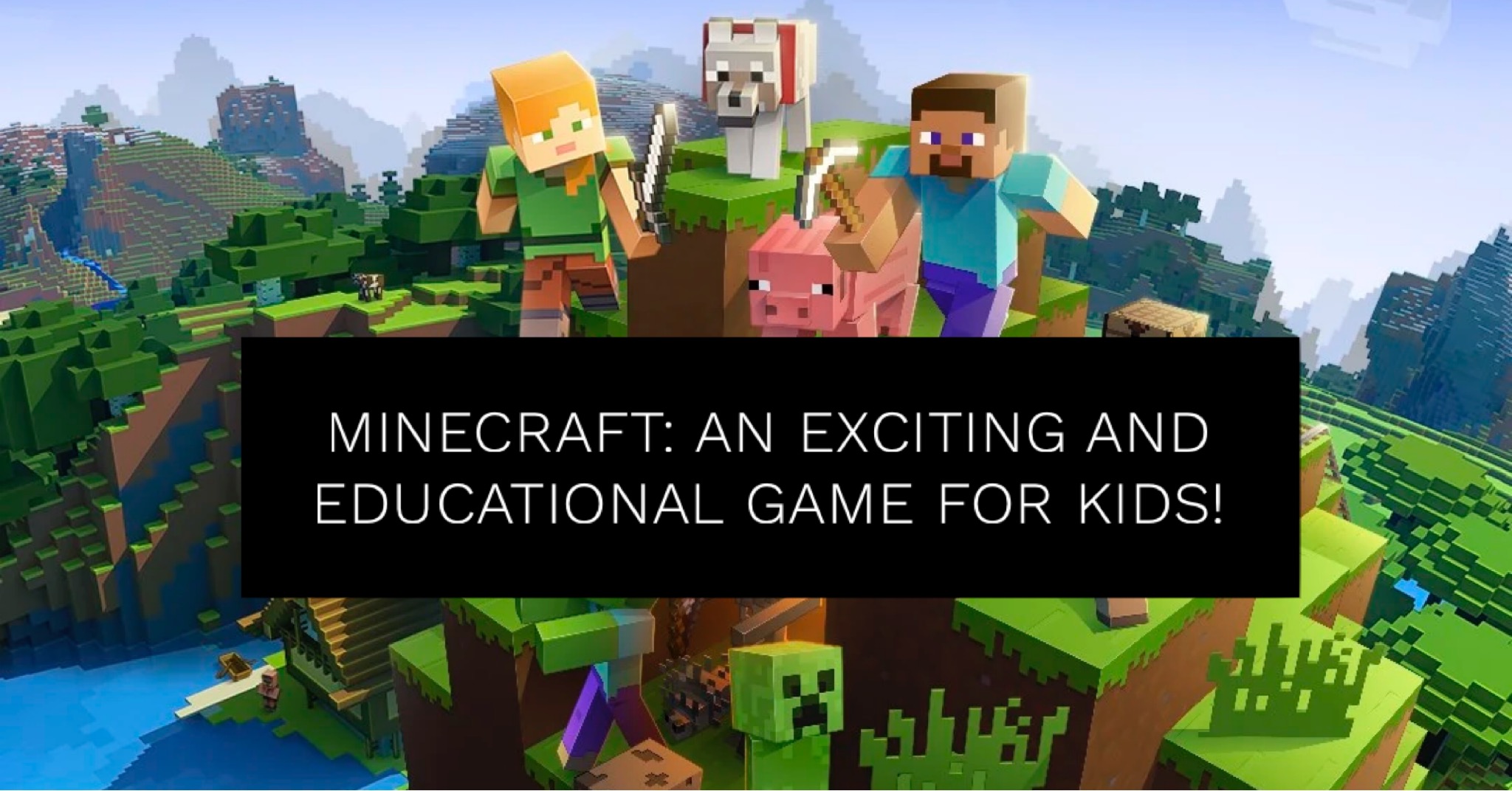 Educational Minecraft | Education System